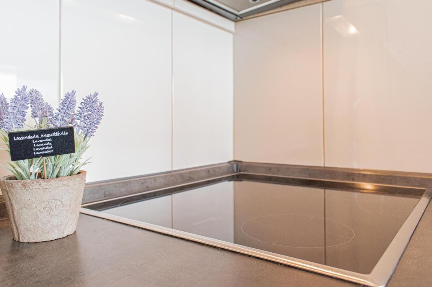 Ferienwohnung Traum Ostseeblick ジールクスドルフ エクステリア 写真